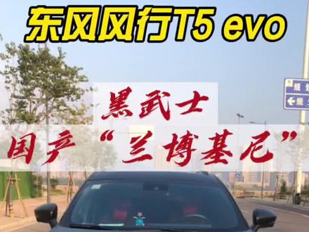我叫大风只做汽车,外观改装。十年、隔热膜改色膜车衣是我的强项#抖音汽车 #dou是好车 #懂车小知识