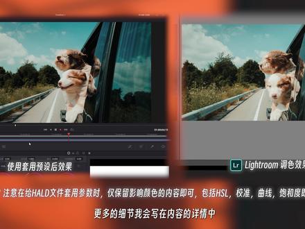 ⬜LUT通俗的讲其实就是一种记录了颜色映射规则的参数文件
⬜使用Lightroom调整视频某一帧截图后,导出调整参数,并使用Cube Converter转换工具即可让你的预设转换为视频的LUT文件。达到给视频调色的目的
🟥提前准备
⬜支持LUT的视频软件、Lightroom、HALD颜色记录文件、Cube Converter转换工具
🟥详细步骤
⬜选择任意素材导入支持LUT的视频剪辑软件
⬜截取任意一帧的内容后导入Lightroom进行调色
⬜‼️将在Lightroom的截屏调色参数复制给准备好的HALD文件(其实就是一个RGB网格的图片,用来记录颜色映射信息),这里仅需要复制与颜色影响有关的参数,比如【饱和度】【HSL】【校准】【曲线】,其它的不需要勾选
⬜导出已经HALD文件(JPG)格式,并导入Cube Converter转换工具,就会得到相应调色效果的LUT了
⬜最后将我们生成的LUT导入视频剪辑软件,套用即可
🟥注意点
⬜因为视频本身相比照片宽容度小很多,所以导出预设前,可以使用LR【数量】工具,稍微降低一下预设整体的颜色效果
🟥视频中的预设编号 No.68 Vintage008,获取方式请移步置顶笔记
#摄影教学 #摄影教程 #摄影基础知识入门 #拍摄技巧 #摄影技巧