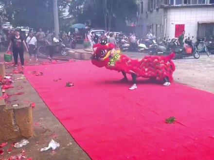 你们喜欢的鼓点现在配上狮子是不是更完美??#龙狮文化