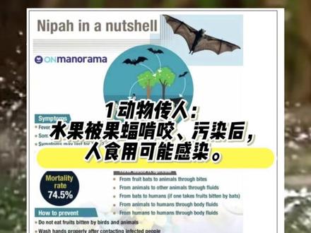 印度爆发尼帕病毒,新加坡安全吗?截至目前,新加坡无任何输入或本地病例,卫生部未发布旅行限制,也未升级警报,我会持续关注卫生部公告,如有变化第一时间通知大家。#新加坡留学 #帕尼病毒 #新加坡帕尼病毒 #新加坡旅游 #新加坡疫情