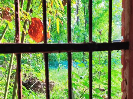 建议结合原文《青山不老》来欣赏艺术。