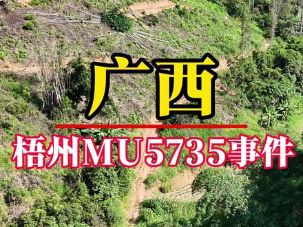 四年前的今天,东航MU5735事件发生在广西梧州莫琅村,有多少人不记得,又有多少人一辈子忘不了呢?#坠机事件#藤县莫埌村 #东航mu5735客机