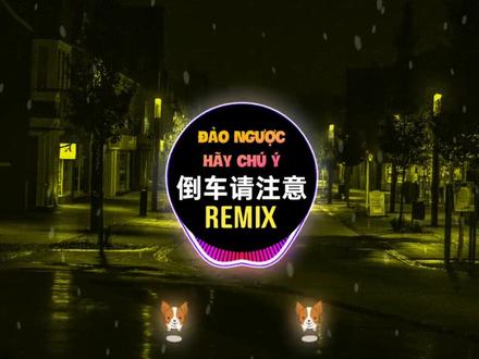 倒车请注意 (DJ抖音版) - 老八