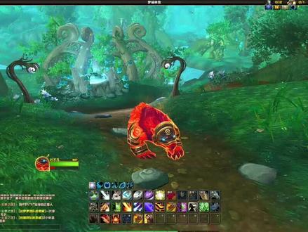 魔兽世界10.0德鲁伊,动物形态外观幻化介绍,新手德必看。 #游戏日常 #网络游戏 #经典游戏