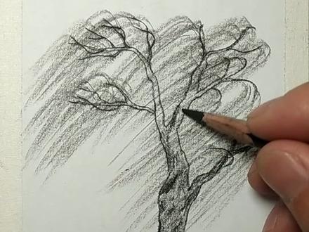 万条垂下绿丝绦,二月春风似剪刀#学画画 #风景素描 #柳树 @DOU+小助手