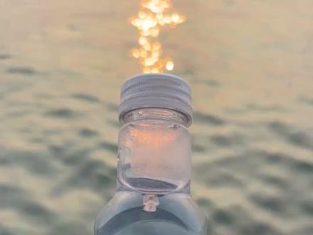 带你认识11种水母,你最喜欢哪个? #水母 #海洋生物 #保护野生动物