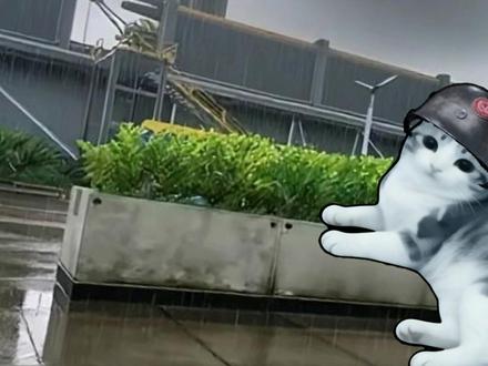 狮子哥哥小猫摔倒了~~ 猫猫摔倒了~~~狮子哥哥来救一下 #抖音acg新春会 #温暖新春 #三角洲行动#放假的第一把三角洲 #三角洲