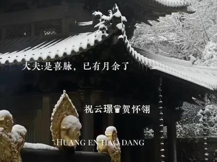 恭贺小殿下喜得麟儿#皇恩浩荡广播剧#皇恩浩荡#祝云璟#贺怀翎#