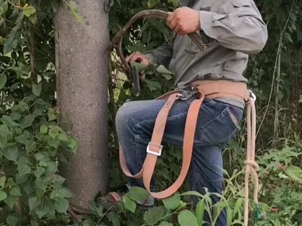 一分钟教你学会脚扣登杆@抖音小助手 @DOU+小助手 #电力工人 #水电工