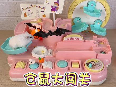 万圣节小仓鼠的大闯关能成功吗?#蔡可爱爱仓鼠 #挑战创造一百个仓鼠世界 #仓鼠 #金丝熊