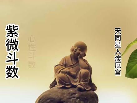 紫微斗数:天同星入疾厄宫含义#紫微斗数