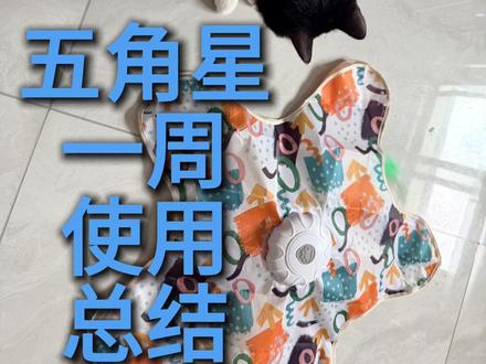 好多人期待的五角星玩具一周用后真实总结来啦 #猫咪 #猫咪的迷惑行为 #猫咪日常 #猫咪玩具