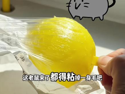 我看楼下饭店用它粘了很多小飞虫,我也买来试试#真实生活分享计划 #花小钱办大事 #神奇的厨房小工具#家庭好物 #夏季厨房必备