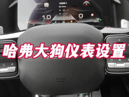 #我与汽车的日常 #汽车知识分享 哈弗大狗仪表设置