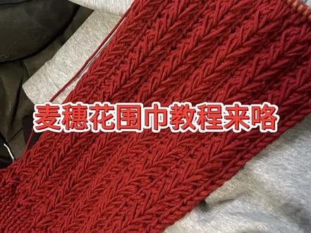 麦穗花围巾教程来咯~快艾特你有手的闺蜜给你织#织围巾 #围巾教程 #礼物 #手工diy