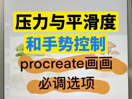 你的绘图软件,一定要这样调整以后才好用。#ipad绘画教学 #创作灵感 #procreate绘画 #