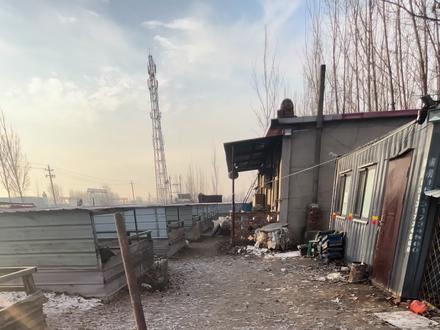 #养猪 #每天一首歌的时间 #自繁自养 喂猪喂猪,今天一窝小猪出生