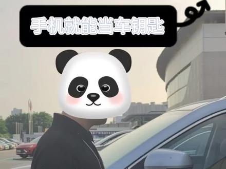 #mate60遥遥领先 #支持国产 #国产车 哪一个牛字了得