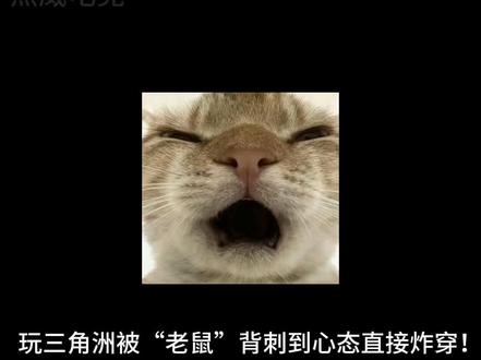 “三角洲里的‘鼠’有善恶之分?被臭老鼠背刺过的举个手!” #三角洲跑刀#三角洲行动#三角洲鼠鼠#鼠鼠我呀#三角洲