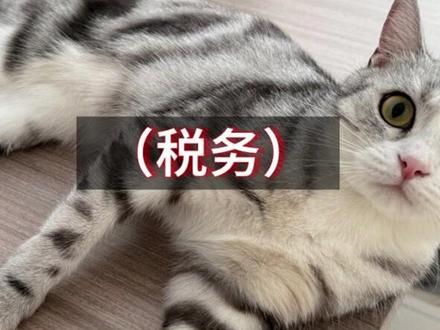 CPA与司法考试考证回忆