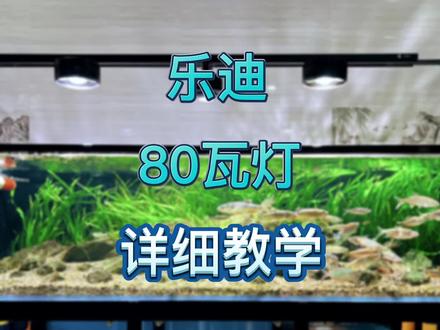 乐迪80瓦详细色谱参数#乐迪 #溪流缸 #水族 #壹碌嘢养鱼
