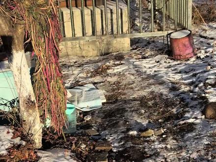 #流浪猫 #流浪猫救助 #毛孩子 同款猫粮在橱窗