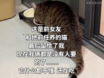 没人要的只有你#一般人不告诉他 #万万没想到