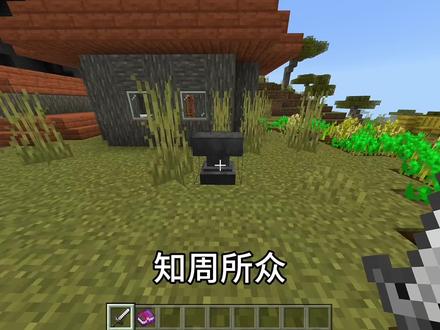 #我的世界 顶级折磨流浪商人