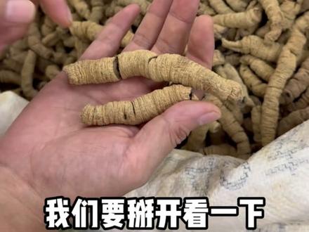 中药材市场之巴戟天怎么选 #中药材 #养生