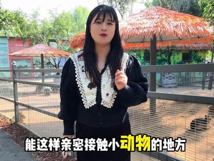 真没想到家门口这么便宜的门票能看到近百种小动物,体验感拉满,假期带娃闯入曲阜版的疯狂动物城卡皮巴拉太可爱啦#曲阜动物园 #杨总出品
