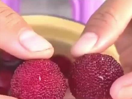 ⚠️漳州杨梅大翻车!8000倍“三无”甜味剂+违禁防腐剂浸泡,工人自己都不敢吃!#杨梅 #吃瓜