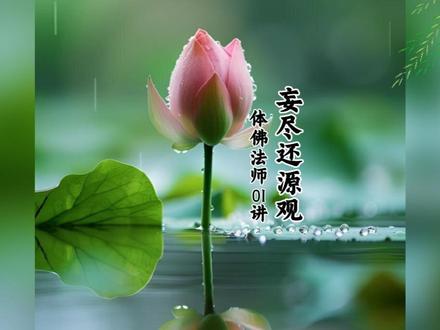 《妄尽还源观》01体佛法师