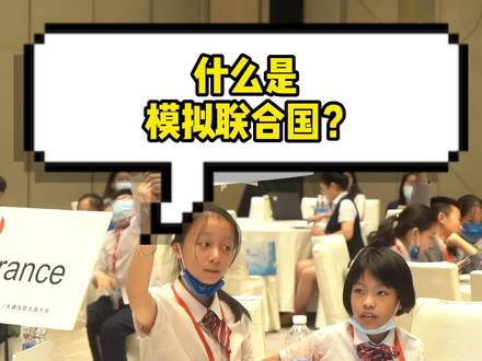 什么是模拟联合国? #模联 #模拟联合国