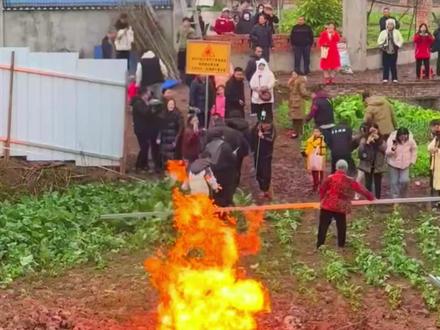 四川蓬安县惊现地火村,12月28日在蓬安县徐家镇徐家小学二校区后面的农田出现地火。8天了,目前仍在持续燃烧。