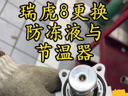 瑞虎8五万公里更换防冻液,更换节温器#我与汽车的日常 #奇瑞汽车 #瑞虎8 #阿强车生活