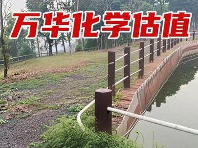 万华化学估值 #万华化学 #万华化学集团