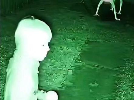 无敌少侠搬运#小孩一拳打飞变异山羊。