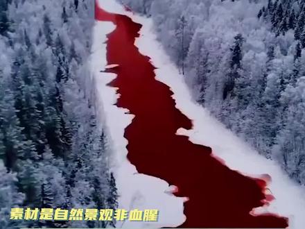 俄罗斯血河,但是高考地理题 #高中地理 #高考 #学科知识 #涨知识 #俄罗斯