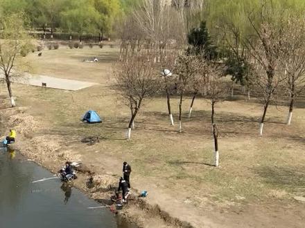 #沈阳房产 最神奇的板块之一。目前以#二手房 为主的区域了。