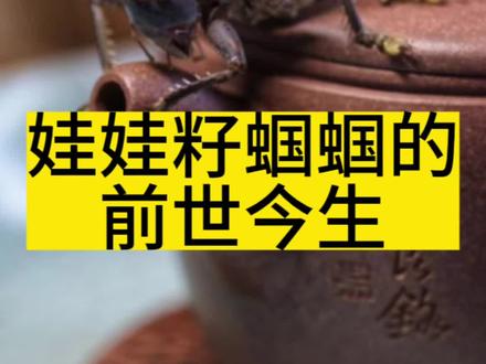 娃娃籽蝈蝈,闲聊一下,不知道爱听的多吗?#蝈蝈 #微拍堂 #微拍堂文玩节