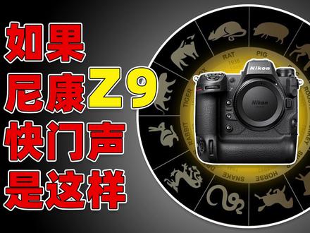 你知道相机快门声音可以自定义吗? #摄影器材 #单反相机 #相机