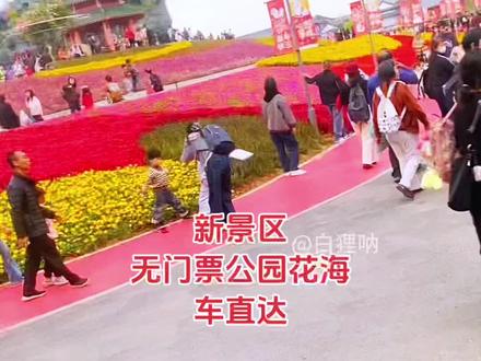 无门票新景区花海公园过年亲子游好去处 #过年#旅行#旅游 #马上游湖马上有福 @千岛湖旅游 #亲子游玩好去处