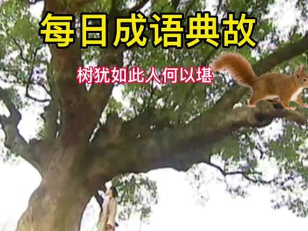 每日成语典故@DOU+小助手 @中视频伙伴计划 #人与自然和谐共处 #民间故事 #大自然 #茶知识