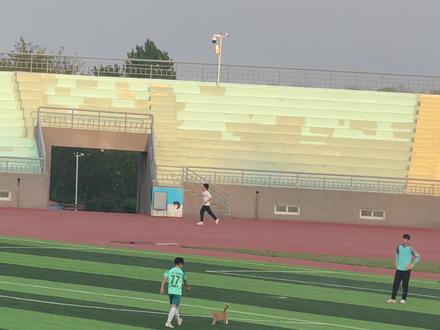 大连民大第一边路快马#足球