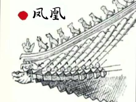 故宫神兽#凤凰#传统文化 #创意美术 #少儿美术教育课件 #少儿创意美术 #美术教育#星河计划#渊博文化星@抖音青少年