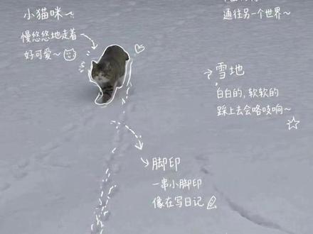 小猫手绘plog照片制作!太治愈了! #照片涂鸦 #给照片加点涂鸦 #plog #手绘plog #手帐