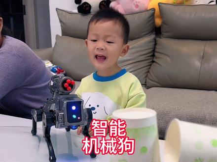 这么会整活的#智能机械狗 哪个孩子收到不乐迷糊了,支持Al编程,这哪个小朋友能不爱呀!#智能遥控机器狗#机器狗玩具 #儿童节礼物 #在抖音入手的好东西