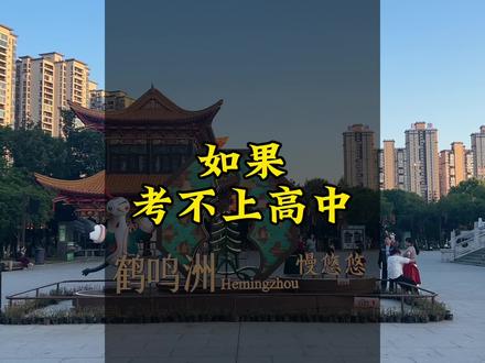 如果考不上高中,会怎样#初中升高中 #高中生 #怀化榆树湾 #高中考不上