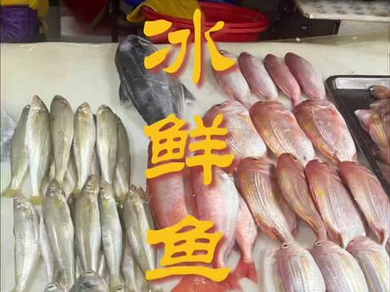 蛇口市场的冰鲜鱼你到底认识多少种?