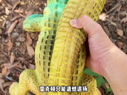 一定要长成史前巨蜥啊!#玩个很新的东西 #玩具 #瓜子二手车